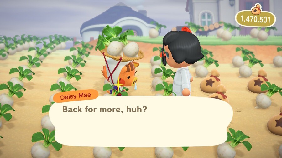 Animal Crossing New Horizons Stalk Market