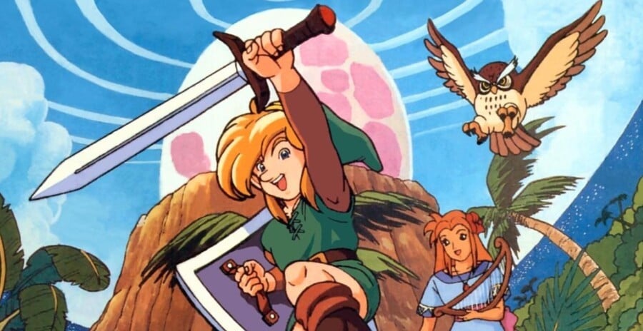 Zelda Link & # 39; s Awakening