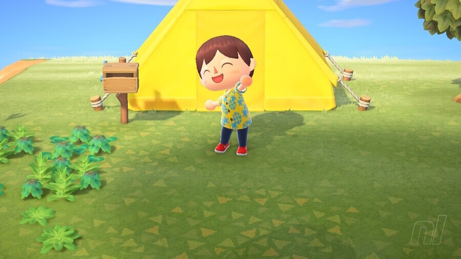 Animal Crossing New Horizons Nintendo Switch