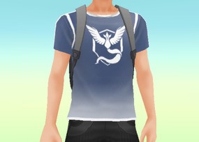 Team Mystic Tee