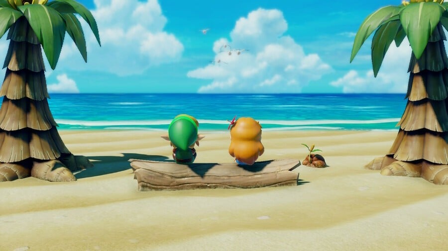 Link y Marin contemplan el océano