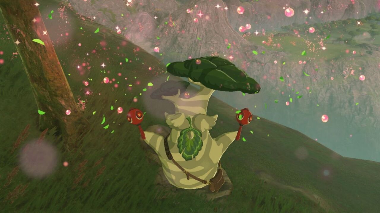 Here S What You Get For Collecting All Korok Seeds In Zelda Breath