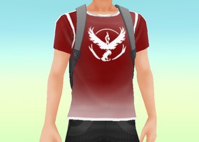 Team Valor Tee
