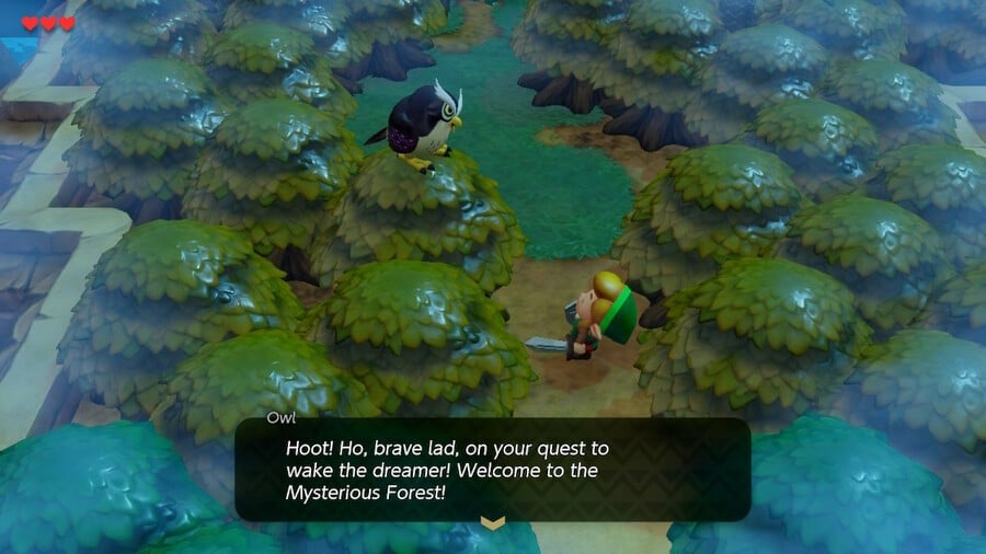 Link aprende sobre sus objetivos en el Bosque Misterioso