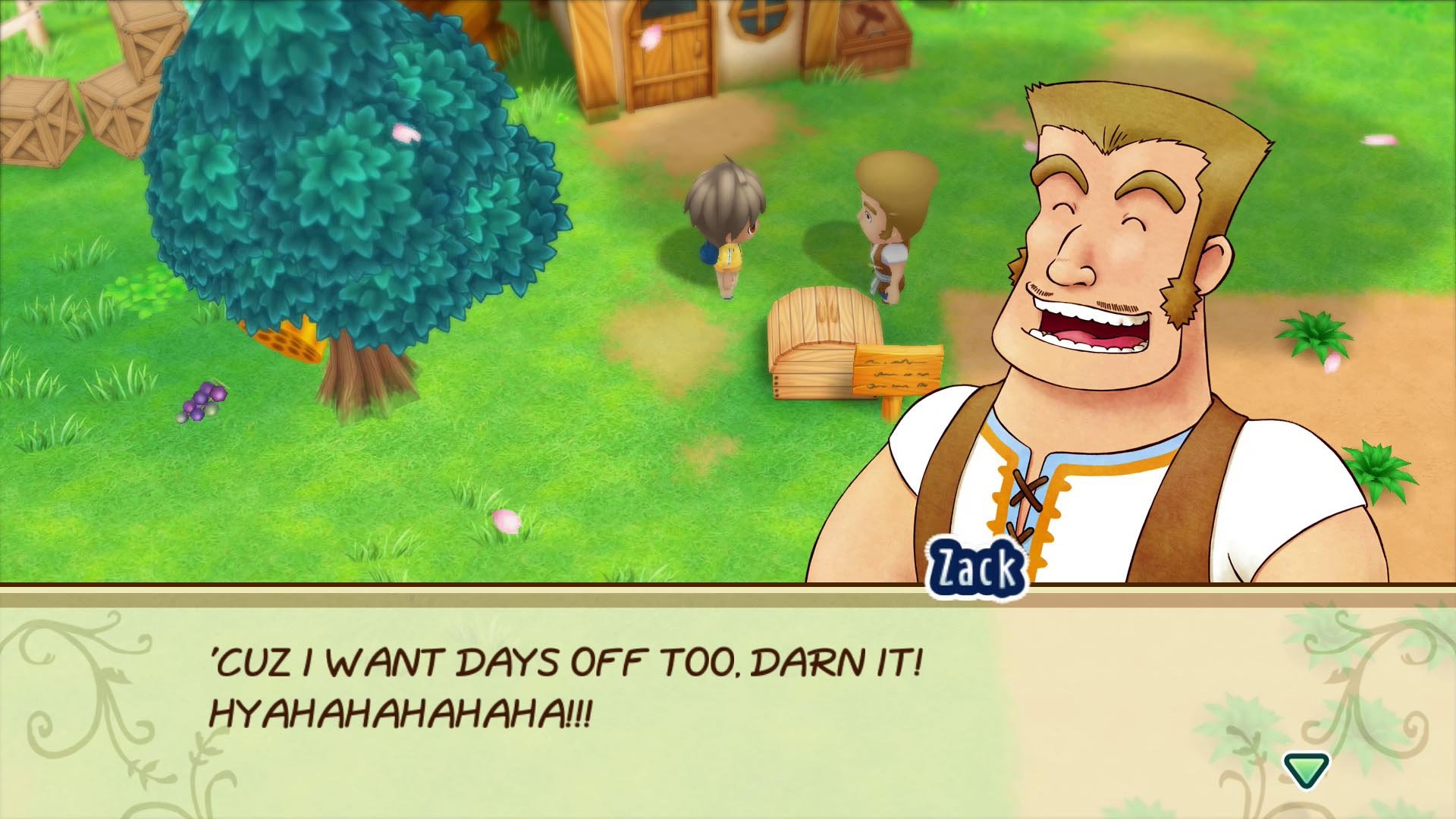 Story Of Seasons: Friends Of Mineral Town File Size Revealed, 10 New