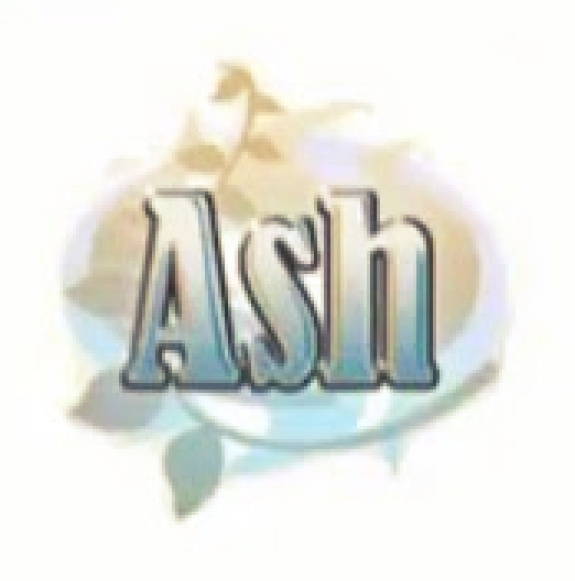 ASH Review (3DS Nintendo Life