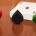 Hearts Spades Euchre