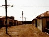 The Lost Town - The Dust