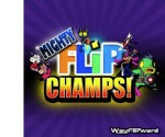 Mighty Flip Champs! Cover (Click to enlarge)