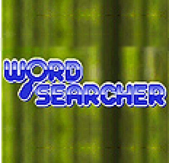 word-searcher-review-dsiware-nintendo-life