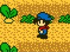 Harvest Moon