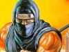 Ninja Gaiden