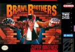 Brawl Brothers Cover (Click to enlarge)