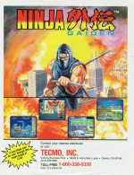 Ninja Gaiden Cover (Click to enlarge)