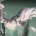 ANIMA: Ark of Sinners