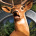 Deer Drive Legends