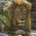My Zoo