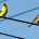 Play with Birds