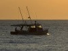 Reel Fishing Challenge