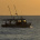 Reel Fishing Ocean Challenge