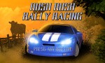Rush Rush Rally Racing Cover (Click to enlarge)