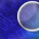 Word Searcher Deluxe