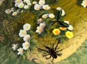 WiiWare focus - Interview with the director of Butterfly Garden WiiWare focus - Interview with the director of Butterfly Garden