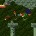 Image: Cave Story Nearing The Finish Line