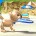 Image: Wii Sports Resort Goes Big In Japan
