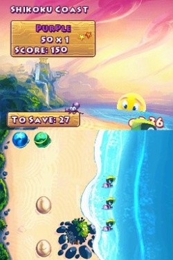 You see those turtles?