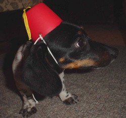 No, not that kind of fez