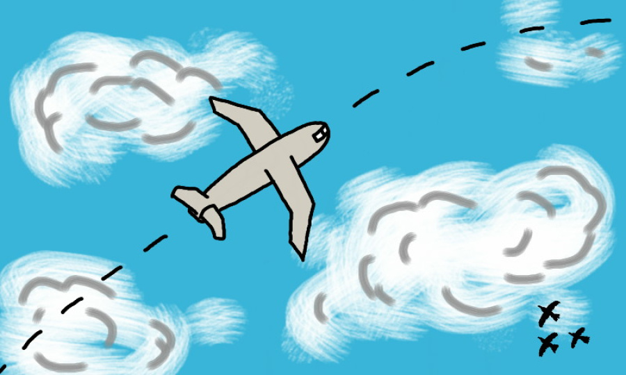 Flight
