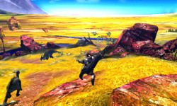 Wide open space