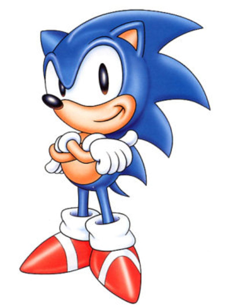 picture of sonic