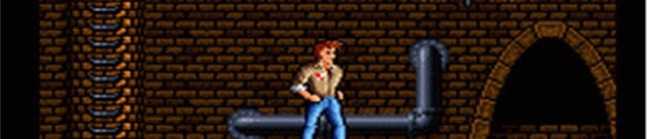 Banner 2