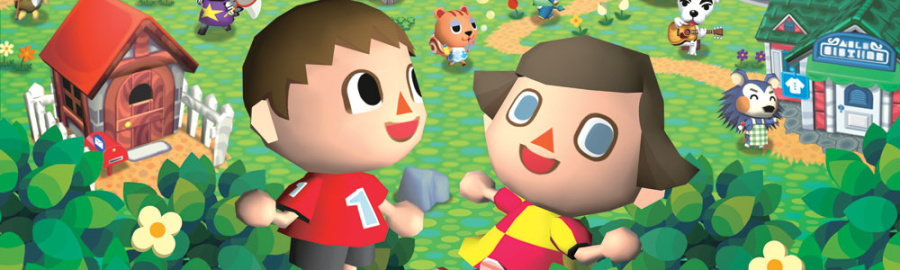 Animal Crossing Wii Banner