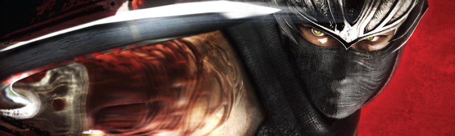 Ninja Gaiden 3 Banner