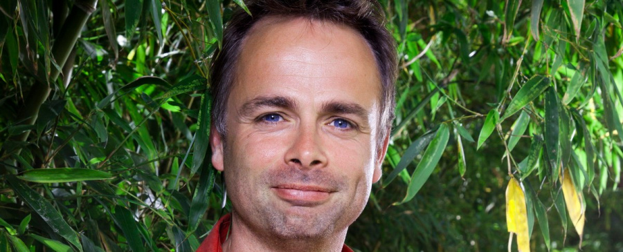 Michel Ancel Small