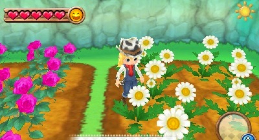 Flowers!