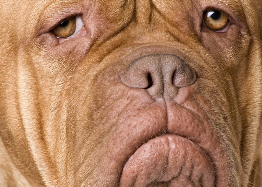 Sad face.