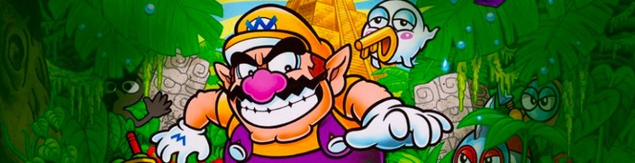 Wario Land 4 Banner