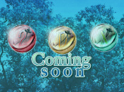 News: Atlus Teases a New Etrian Odyssey Title, Makes You Work To See It