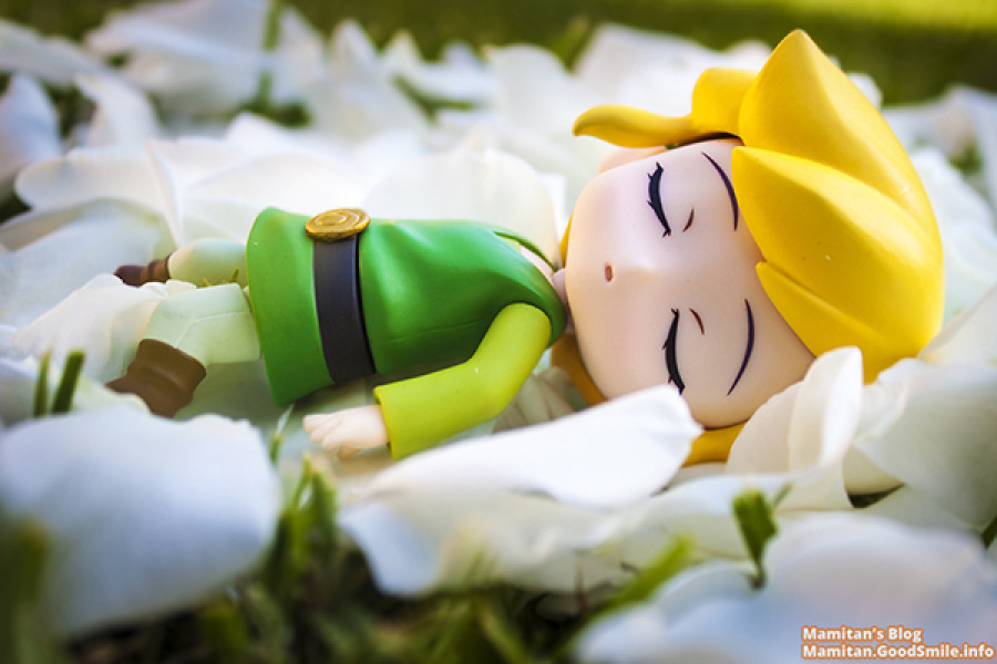 Link Nenderoid1