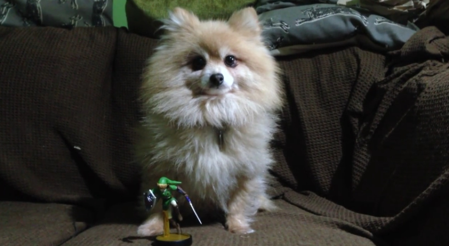 Dog not included