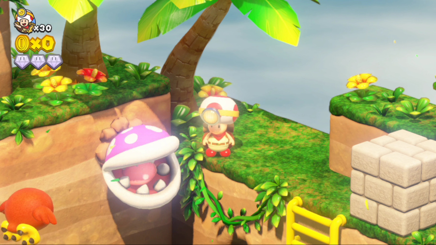 Turnip Cannon Jungle ONE
