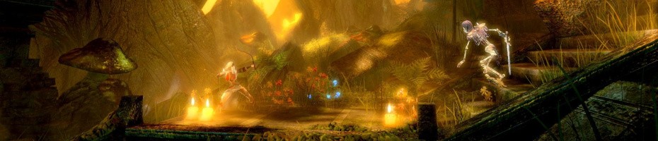 Trine Enchanted Edition - 12th March (NA) - Wii U