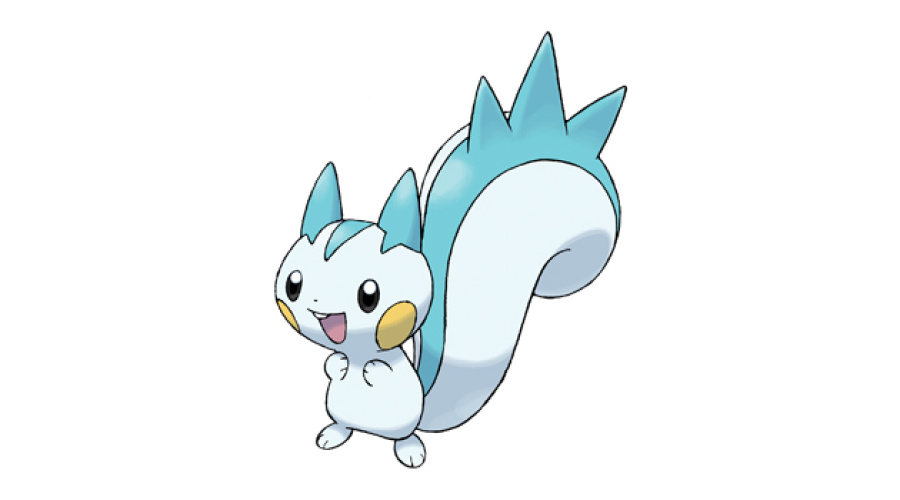 417 Pachirisu