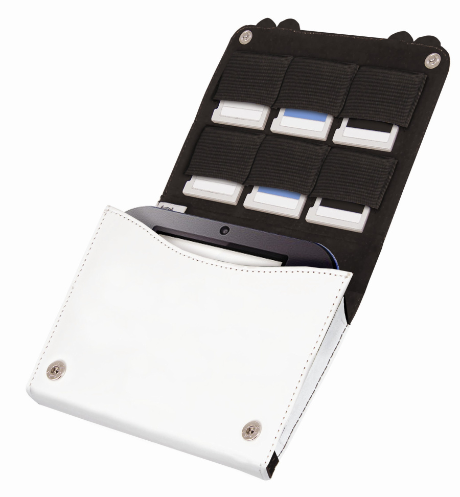 I MP 2 DS Dino Case Open Jpg Jpgcopy