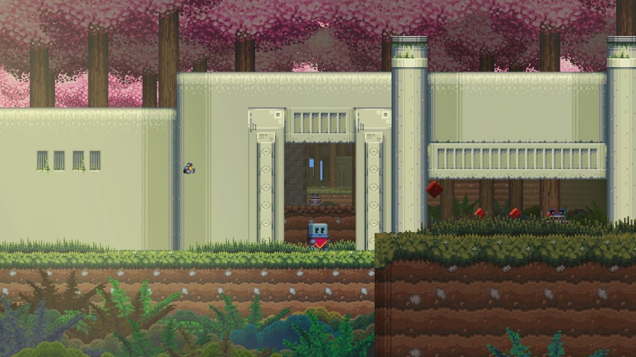Poncho Screen 19