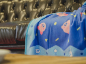 Article: Card Matching Game And Kirby's Dream Blanket Appear In European Club Nintendo Stars Catalogue